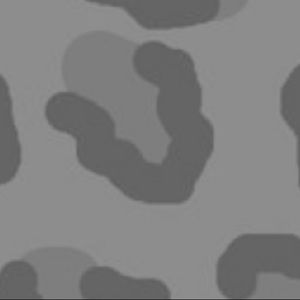 Meet your Posher, Ella